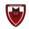 logo Association Football de la Jeunesse Colmarienne