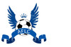 logo AFLC 1