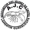 logo Association des Jeunes de Castel