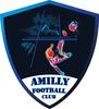 logo Amilly FC 1