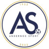 logo Andernos Sport FC 1