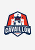 logo A.RC Cavaillon 1