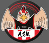 logo Alouette Sportive Neussarguaise