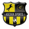 logo Ascoux Sp.