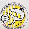 logo Association Sonnazienne de Futsal les Collegues