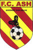 logo Avesnes S/helpe Fc96 1