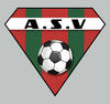 logo AV.S Violesien 1