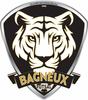 logo Bagneux Futsal AS 1