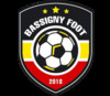 logo Bassigny Foot 18