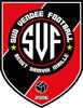 logo Sud Vendee Football Benet Damvix Maille