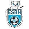 logo Berrien Huelgoat ES 1