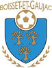 logo BGFC 1