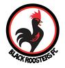 logo Black Roosters