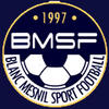 logo Blanc Mesnil SF 11