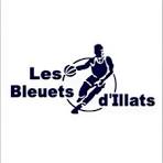 logo Bleuets Illats