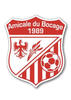 logo Bocage Amicale Elv 1