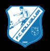 logo Bollwiller FC 2