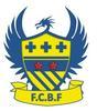 logo Bonnieres Freneuse FC