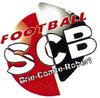 logo Briard SC 22