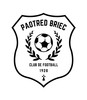 logo Briec P 1