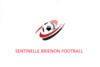 logo Brienon 1