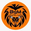 logo BSM 1