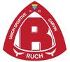 logo Carvin Ruch US 3