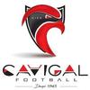 logo Cavigal Nice S. 21