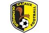 logo Cazaux Olympique 1