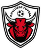 logo Chalosse Futsal