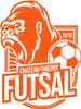 logo Chateau Thierry Futsal