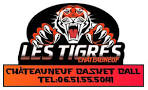 logo Chateauneuf Basket-ball