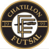 logo Chatillon Foot Salle 1