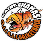 logo Cjl St Chamas Ail Basket