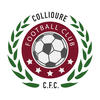 logo Collioure FC