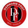 logo Dammarie Foot 1