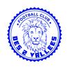 logo Deux Vallees FC 2