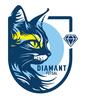 logo Diamant Futsal 1