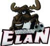 logo El.S. Dissayen