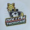 logo Dollon Thorigne FC 2