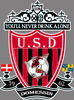 logo Domessin US 2