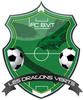 logo Dragons Verts Fcbvt 1