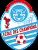 logo Ecole de Champion Dembeni