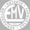 logo EMV 1