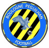 logo ENT. Boulogne-peguil 3