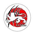 logo Entente Sportive Falaisienne