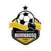 logo ES Bonnebosq 2