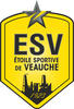 logo ES de Veauche