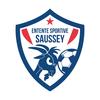 logo ES Saussey 1