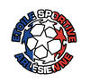 logo ET.S Arlesienne 21